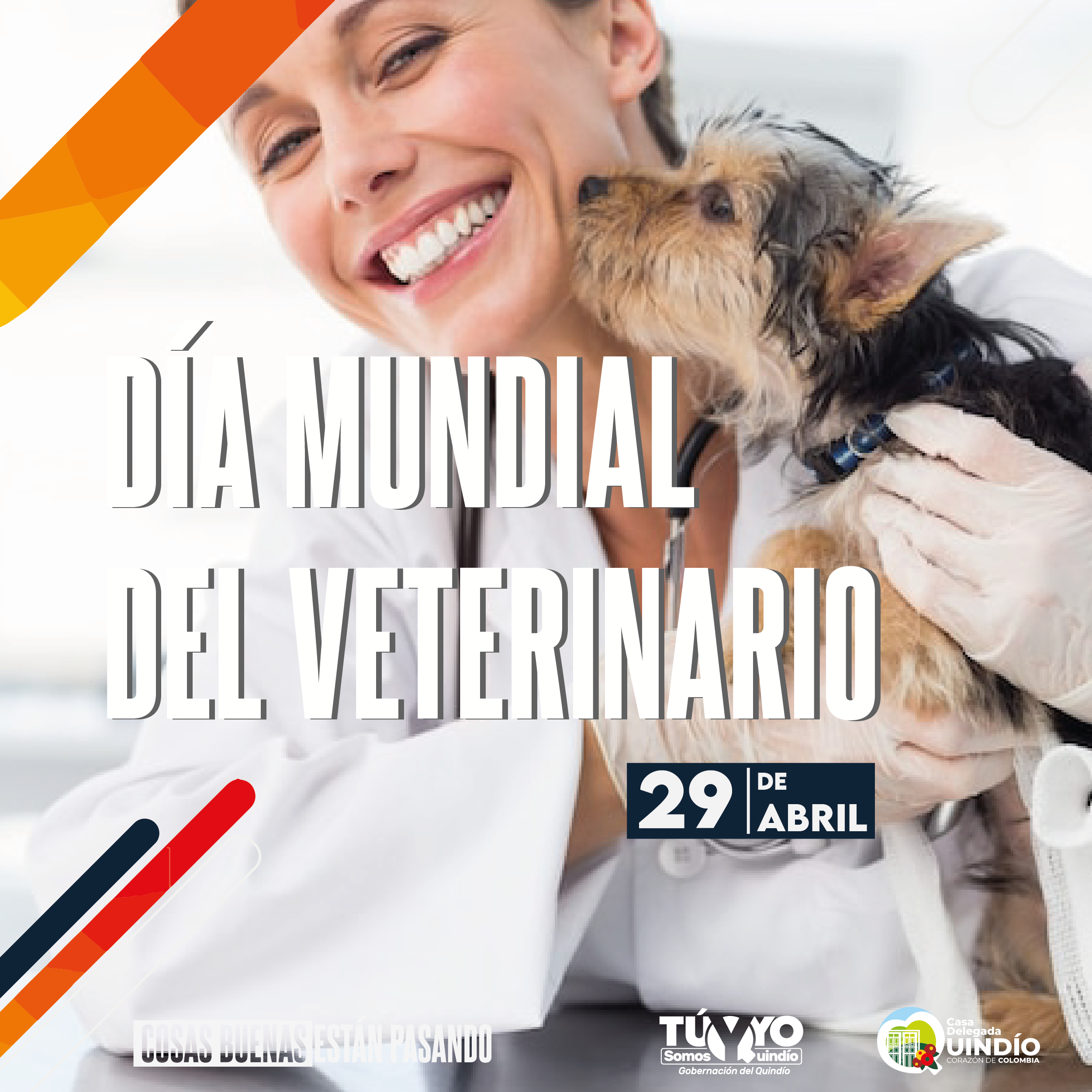 2. dia mundial veterinario Mesa de trabajo 1