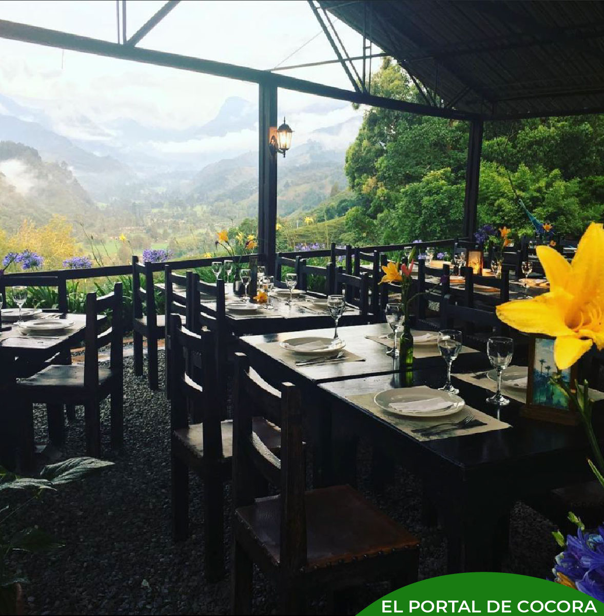 PORTAL DE COCORA Mesa de trabajo 1